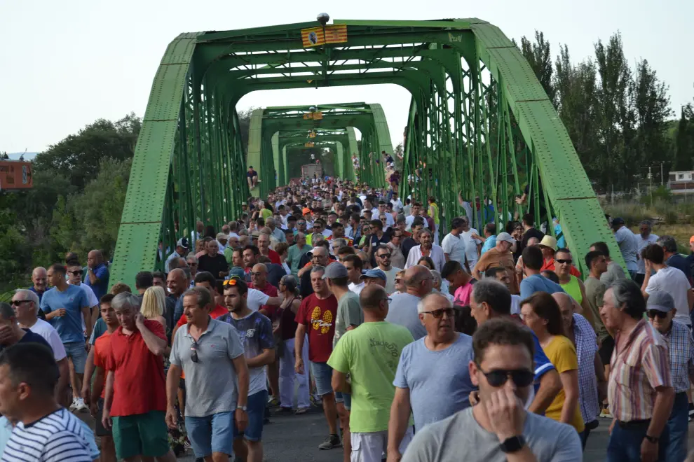 Foto del encierro sobre el puente de Gallur en el día grande de las fiestas de San Antonio