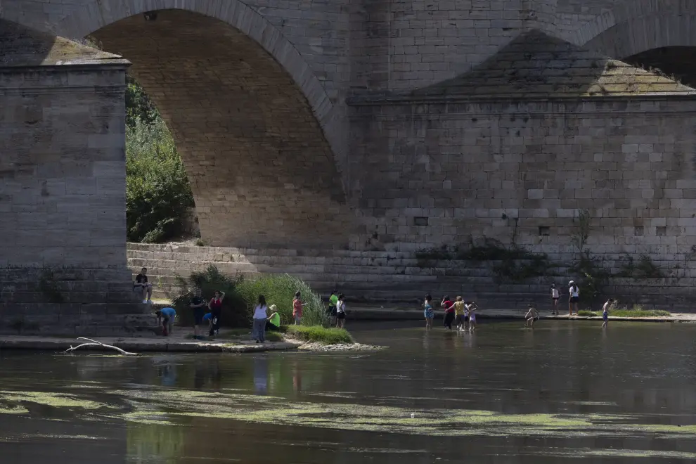 Falúas y gente bañándose el pasado fin de semana en el Ebro, bajo el puente de Piedra de Zaragoza.
