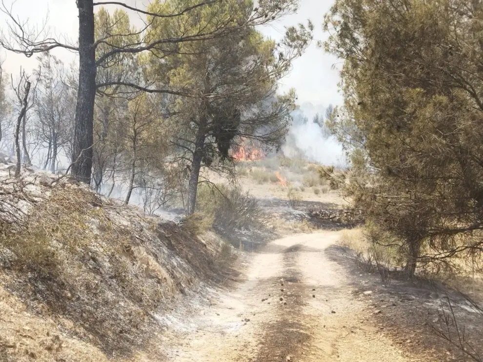 Evolución del incendio en Nonaspe este viernes