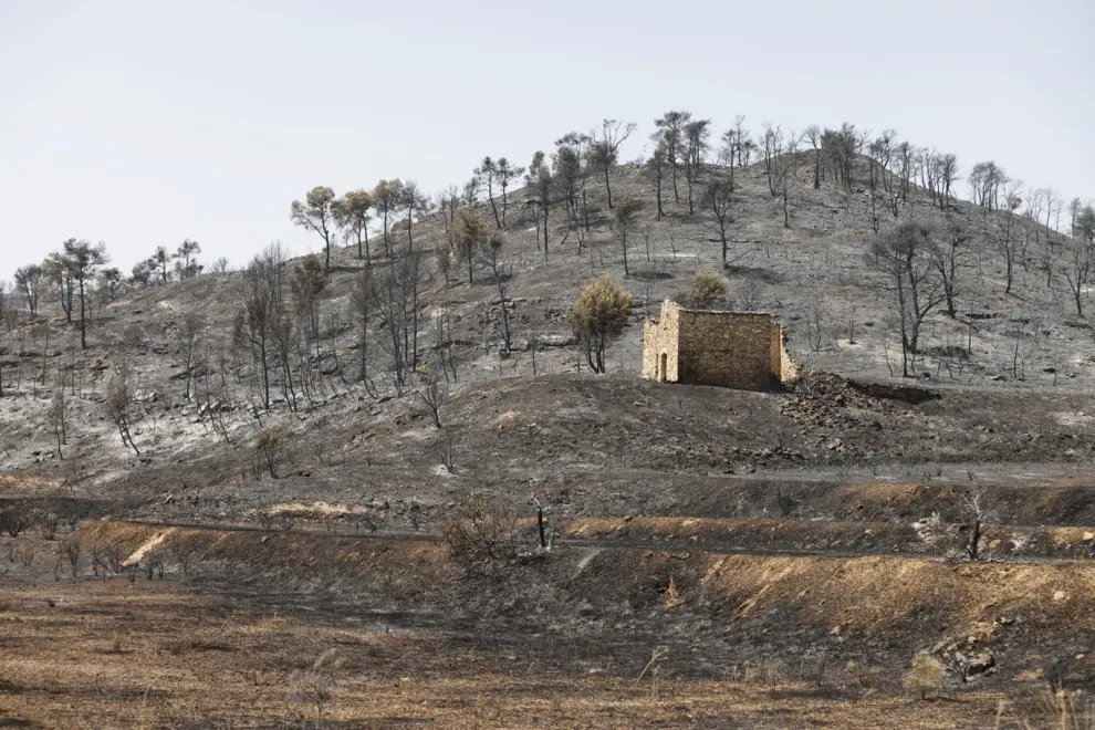 El incendio de Nonaspe ha calcinado ya más de 1.700 hectáreas.