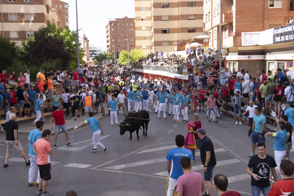 Toros ensogados en las calles de Teruel durante el congreso nacional de toro de cuerda. foto Antonio Garcia/Bykofoto. 18/06/22[[[FOTOGRAFOS]]]