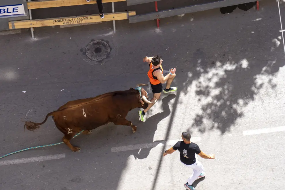 Toros ensogados en las calles de Teruel durante el congreso nacional de toro de cuerda. foto Antonio Garcia/Bykofoto. 18/06/22[[[FOTOGRAFOS]]]