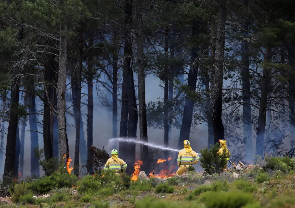 Firefighters work to extinguish a wildfire at the Sierra de la Culebra near Ferreras de Arriba, Zamora, Spain, June 19, 2022. REUTERS/Isabel Infantes CLIMATE-WILDFIRES/SPAIN