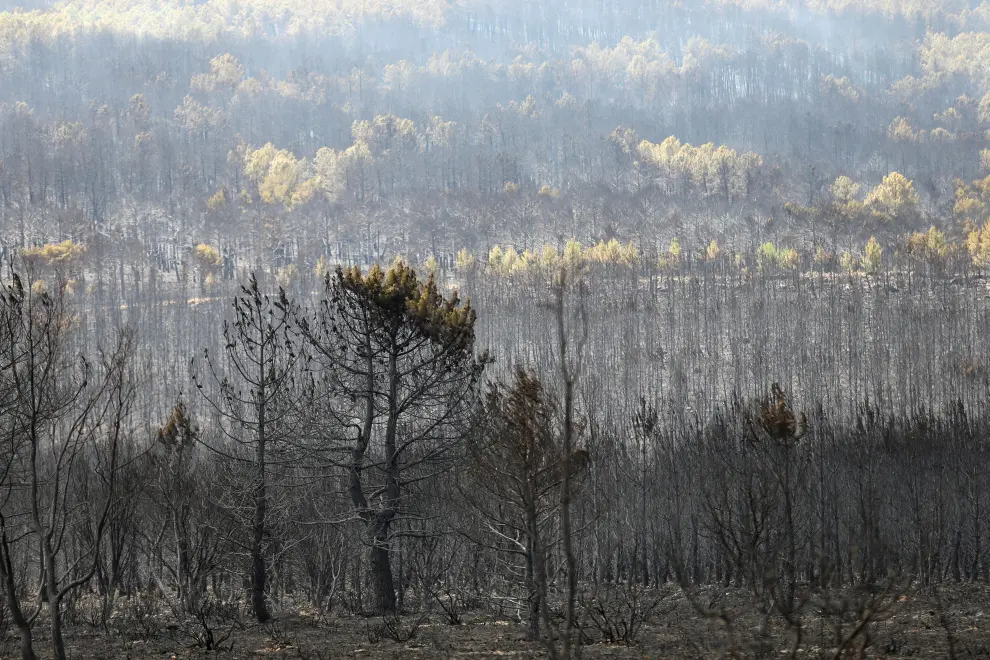 Residents look on as a new fire breaks out at the Sierra de la Culebra near Ferreras de Arriba, Zamora, Spain, June 19, 2022. REUTERS/Isabel Infantes CLIMATE-WILDFIRES/SPAIN