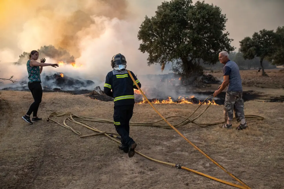 Continúa el el fuego en Losacio (Zamora).