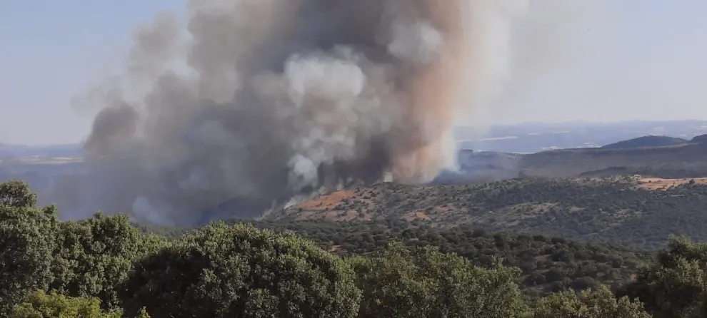 Incendio forestal en Ateca.