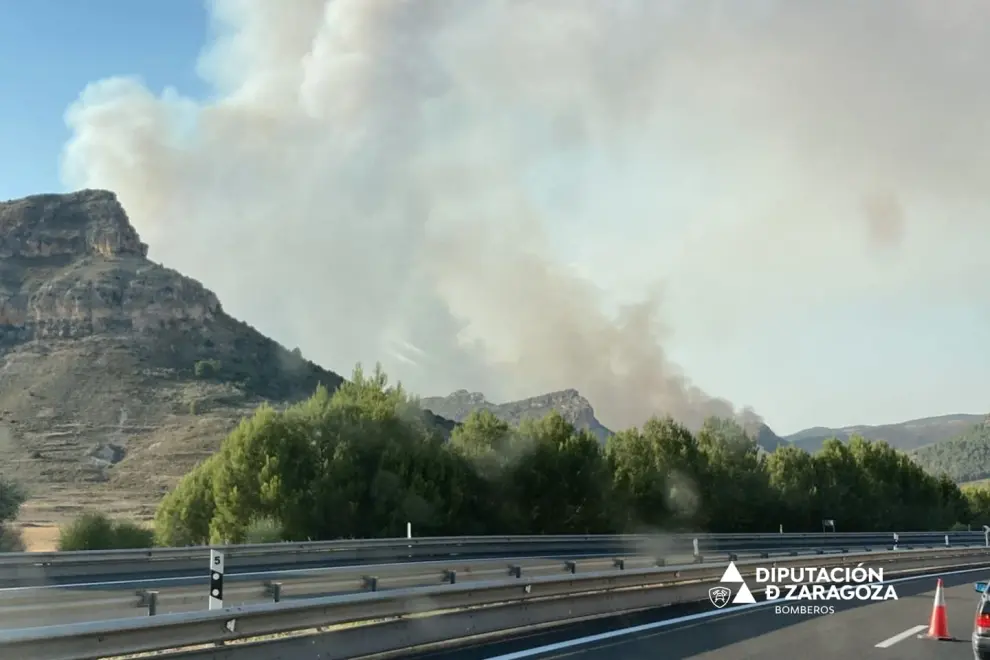 Incendio forestal en Ateca.