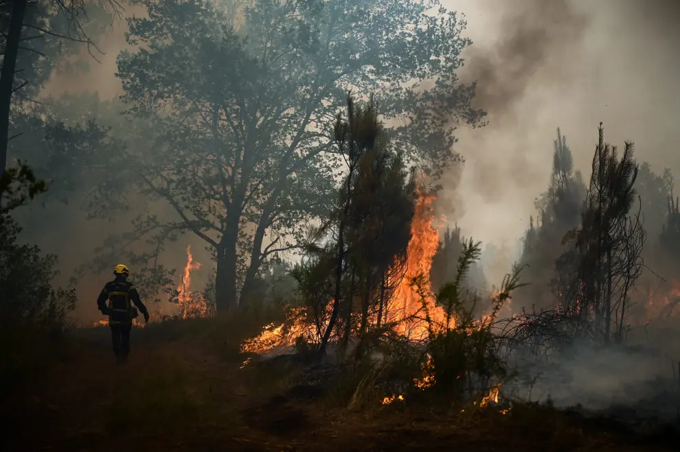 Incendios forestales en Francia.