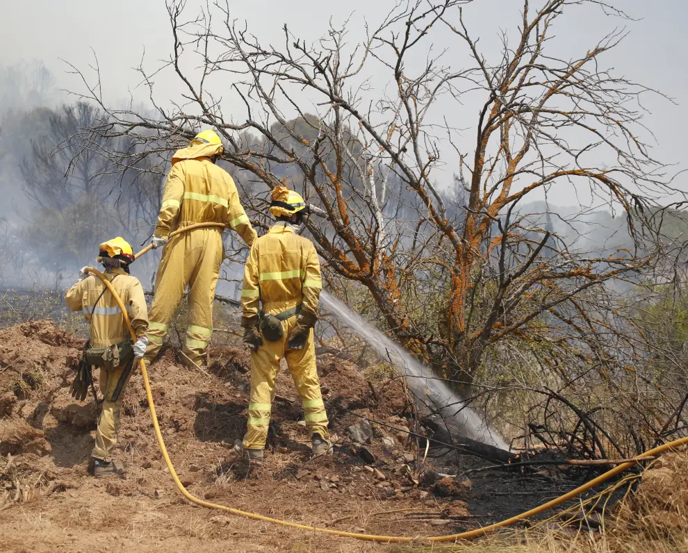 Incendio forestal en Ateca