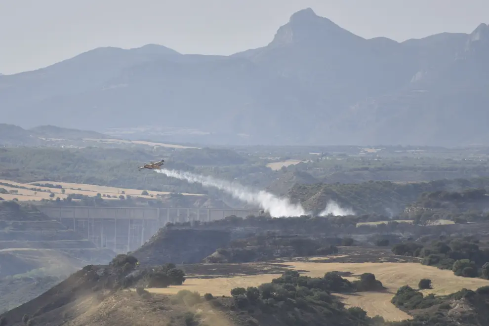 Incendio forestal en Loporzano (Huesca).