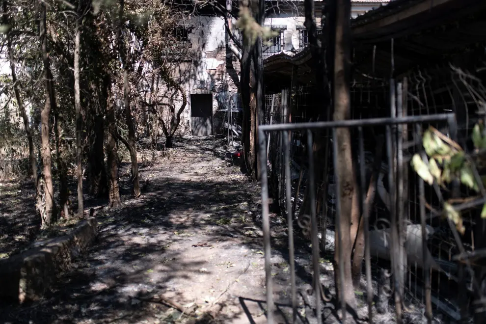 El regreso a casa de los vecinos evacuados por el incendio del Moncayo: así se encuentran sus pueblos dos días después del desalojo por el fuego.