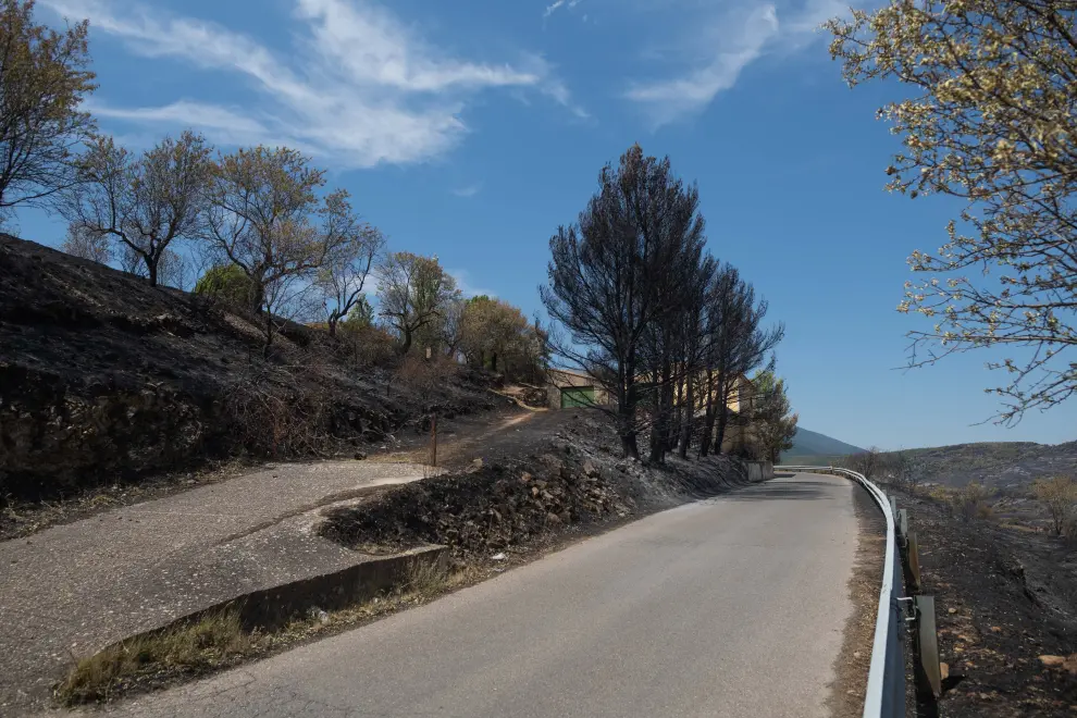 Vuelta a casa de los vecinos tras el incendio en Añón de Moncayo.
