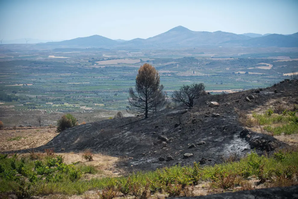Una semana después del incendio en el Santuario de Borja, Vera de Moncayo y El Buste.