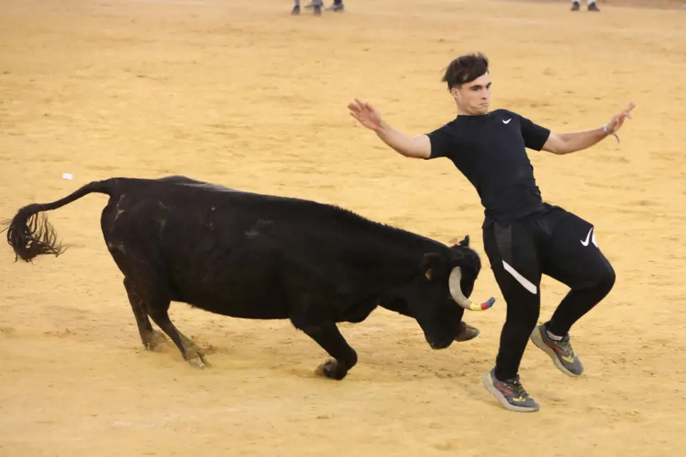 Última jornada de vaquillas en las Fiestas del Pilar 2022 de Zaragoza.