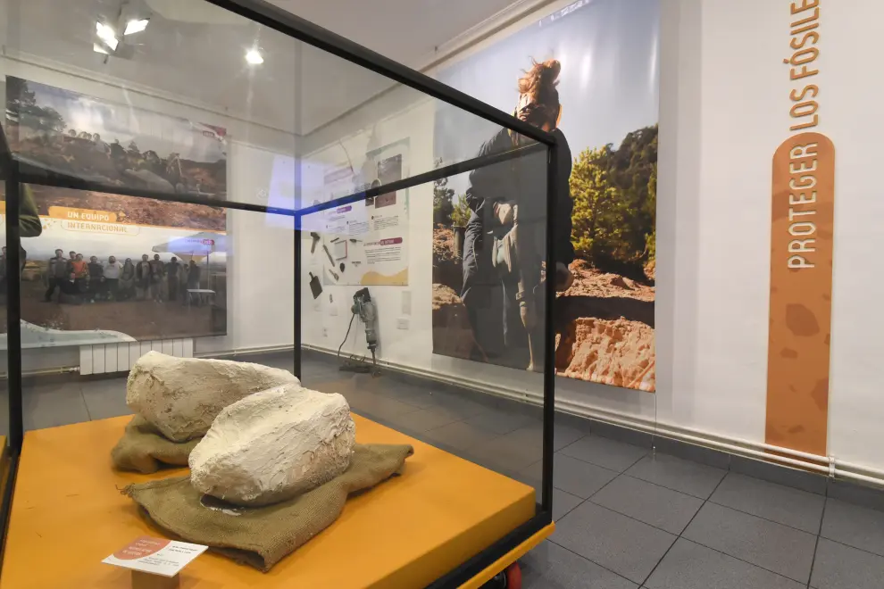 Fotos de la inauguración de Laboratorio Paleontológico de Loarre .