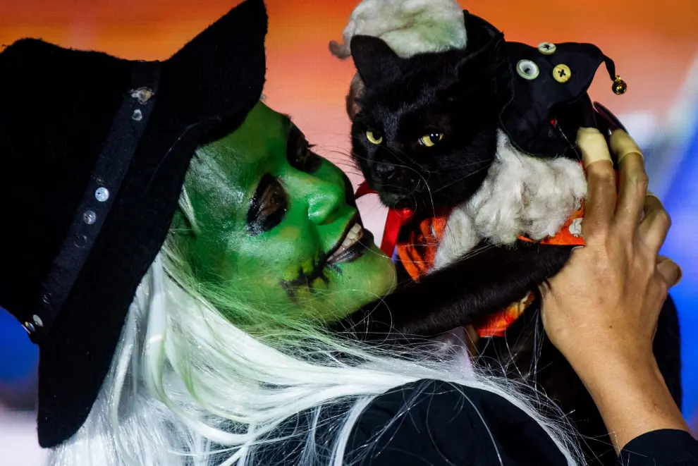 A cat dressed in a halloween costume joins a halloween pet costume competition, in Quezon City, Metro Manila, Philippines, October 30, 2022. REUTERS/Lisa Marie David HALLOWEEN-DAY/PHILIPPINES-PETS