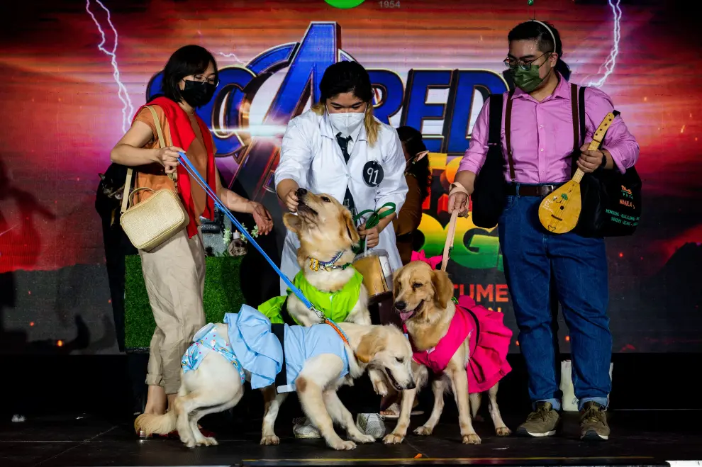 A dog dressed in a halloween costume joins a pet costume competition, in Quezon City, Metro Manila, Philippines, October 30, 2022. REUTERS/Lisa Marie David HALLOWEEN-DAY/PHILIPPINES-PETS