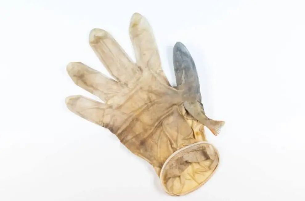 Titulada 'Camada de Covid', esta imagen muestra un guante que constituyó la base de un estudio científico que ha documentado la variedad de animales afectados por los residuos de Covid-19 durante la pandemia. La instantánea fue tomada en los Países Bajos.
