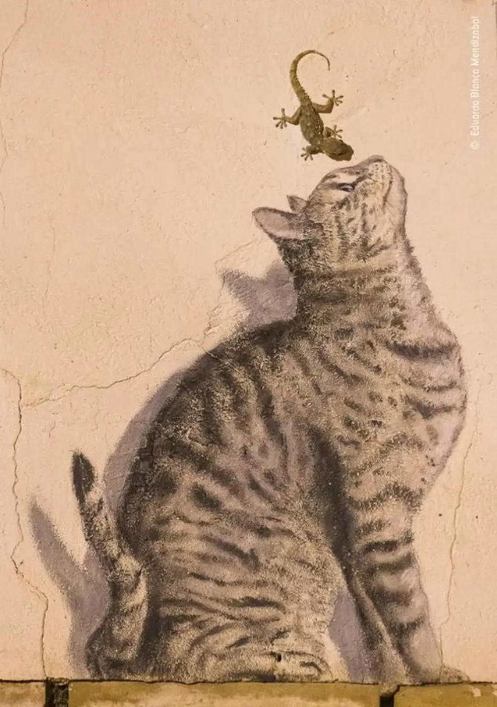 Titulada 'Vida y arte', esta imagen muestra una pared en la que aparece un grafitti de un gato con su sombra junto con una salamanquesa observando la pintura. La imagen fue tomada en Corella, Navarra.