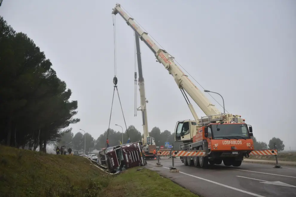 El vehículo ha volcado en una curva cerrada de la N-330 de acceso a Huesca, provocando la muerte de cientos de animales.