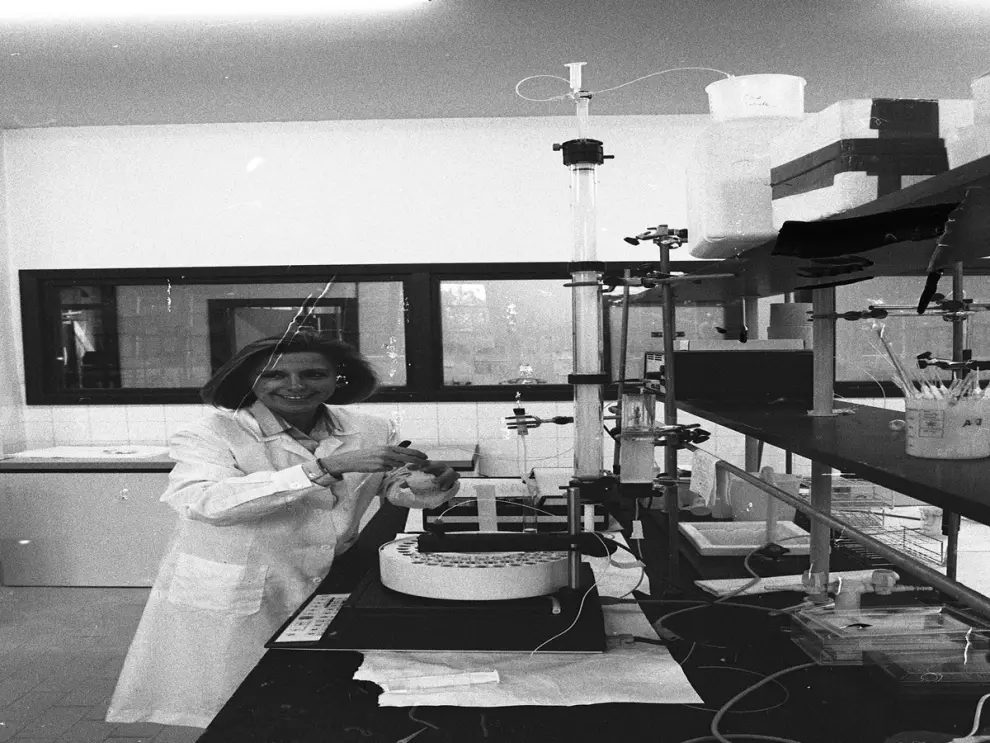 Una profesora en un laboratorio de la Facultad de Veterinaria, en 1989.