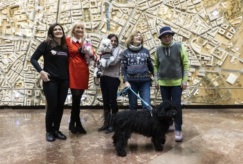 Fotos de la presentación del acceso de animales al Ayuntamiento de Zaragoza