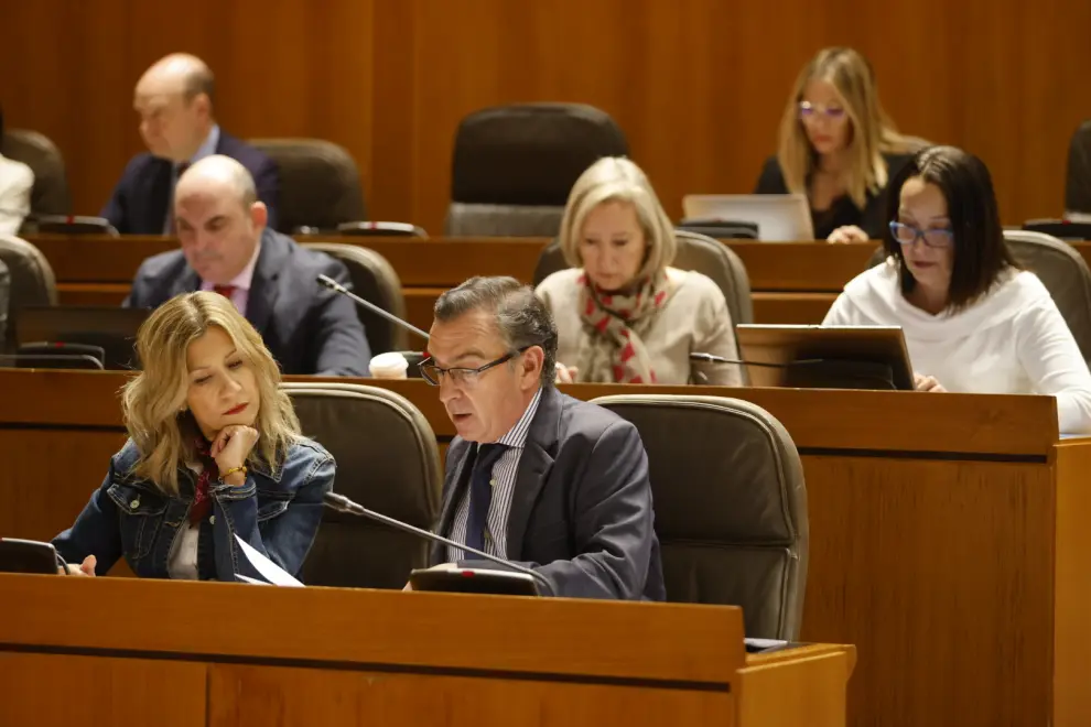 Fotos del Pleno de las Cortes de Aragón