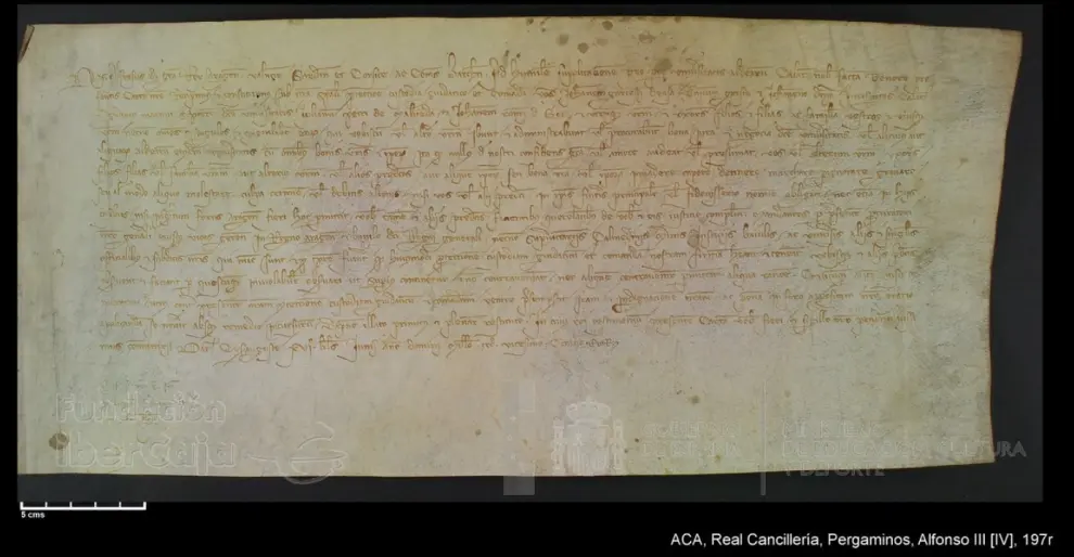 Carta de Alfonso IV en la que concede especial protección, custodia, guiaje y comanda a los jueces de Calatayud y otros funcionarios, haciendo extensibles dichas concesiones a sus mujeres, hijos, hijas y demás familia.