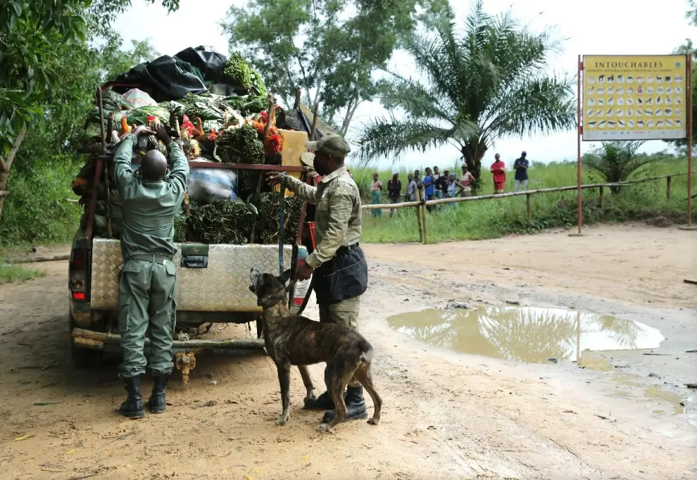 Holly acompañada de un ranger y un guía canino durante una de las misiones en áreas protegidas en el Congo.