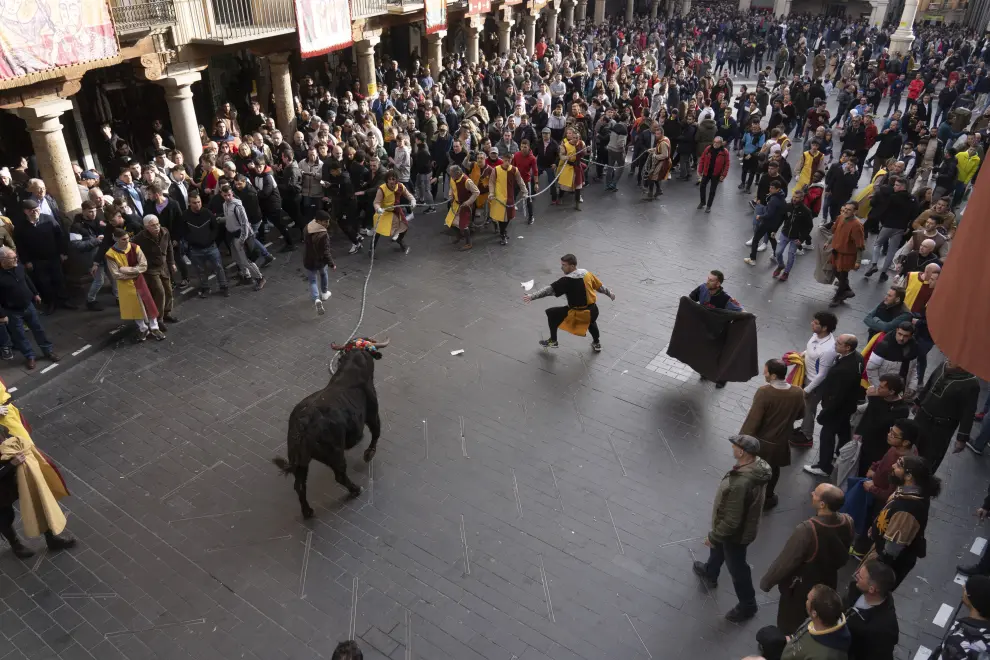 Foto de las Bodas de Isabel 2023 en Teruel: toro nupcial ensogado