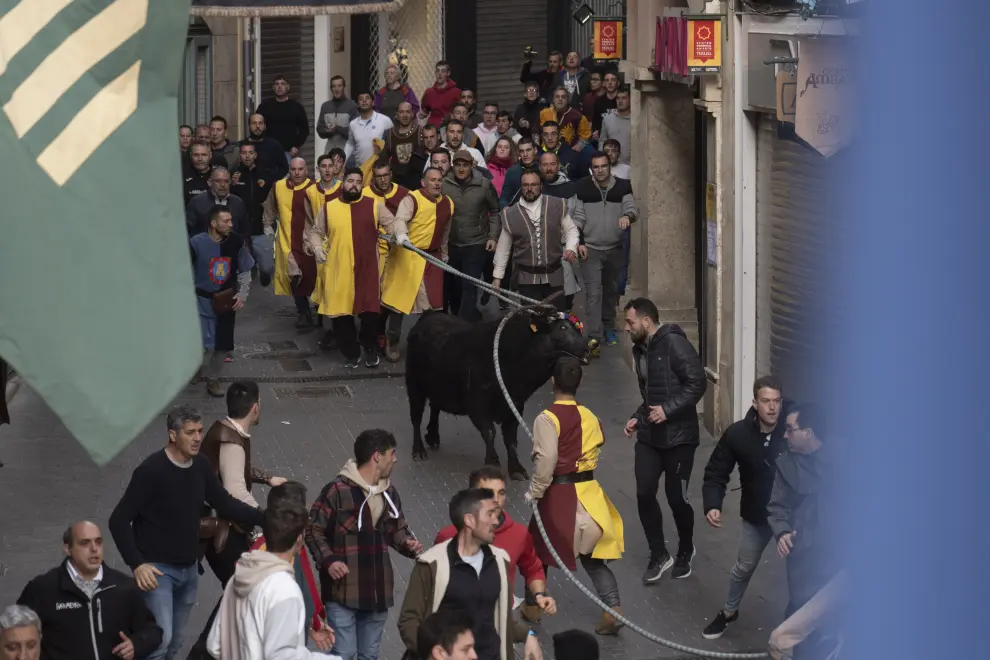 Foto de las Bodas de Isabel 2023 en Teruel: toro nupcial ensogado