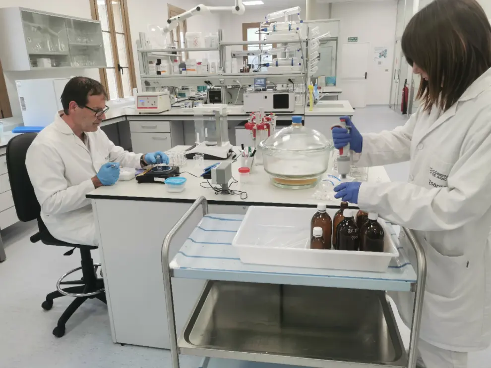 Participantes en el XIV Foro Internacional de Lindano y Pesticidas visitaron el laboratorio de descontaminación de Pirenarium y el vertedero de Bailín..