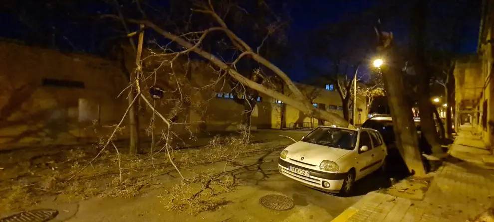 Un árbol ha caído sobre un vehículo estacionado en la calle Pedro Lucas Gállego