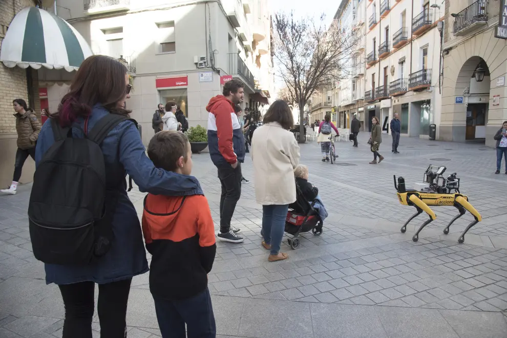 Un perro robot de Acciona en las Cuatro Esquinas de Huesca _ 15-3-23 _ Foto Javier Navarro[[[FOTOGRAFOS]]]