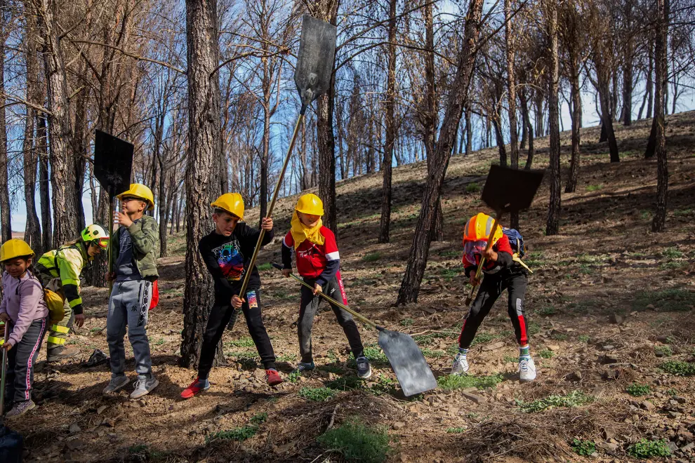 Actividades prácticas de los alumnos de Ateca con agentes forestales