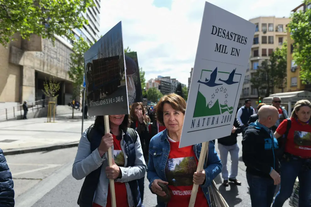 Protesta de SOS Montes Universales contra las talas masivas