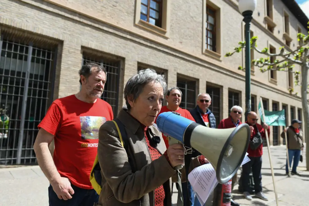 Protesta de SOS Montes Universales contra las talas masivas