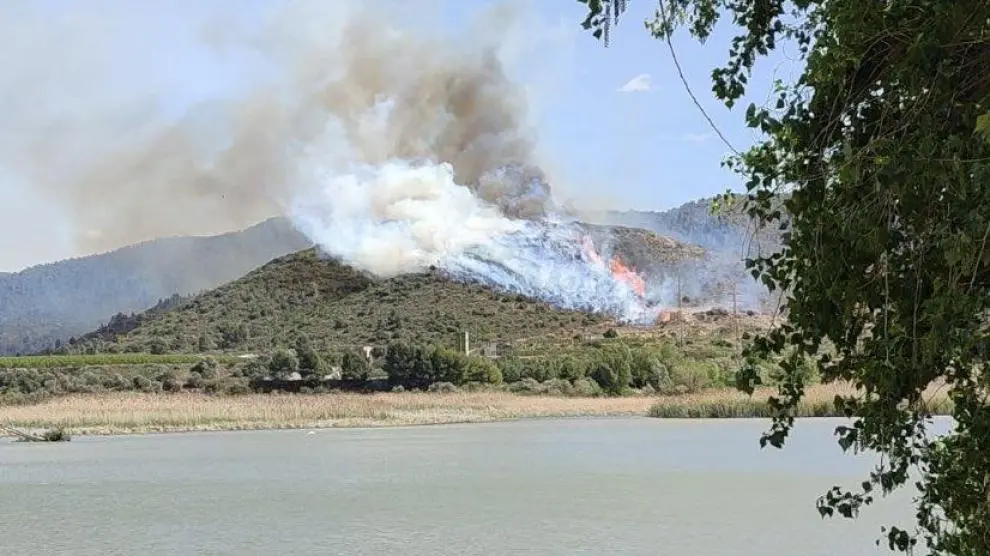 Incendio forestal en Mequinenza, cerca del límite con Cataluña.