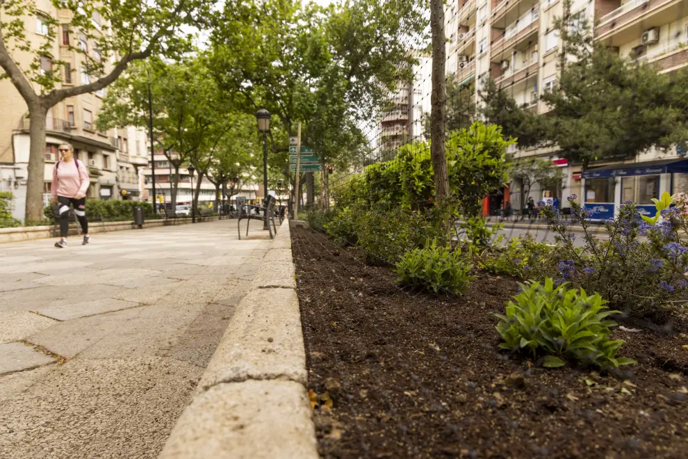 Foto de la renovación de los parterres del paseo de Sagasta de Zaragoza