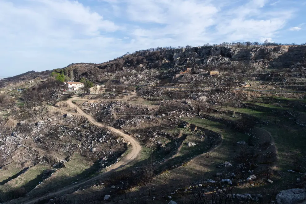 Paisaje en el entorno de Borja y El Buste ocho meses después del incendio en el Moncayo.