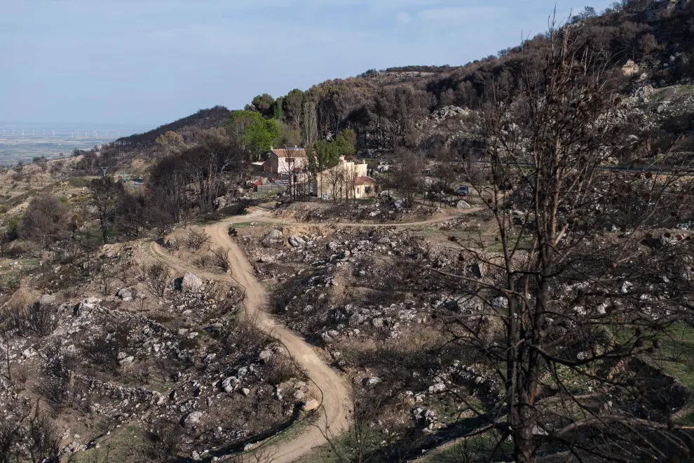 Paisaje entre Borja y El Buste ocho meses después del incendio del Moncayo.