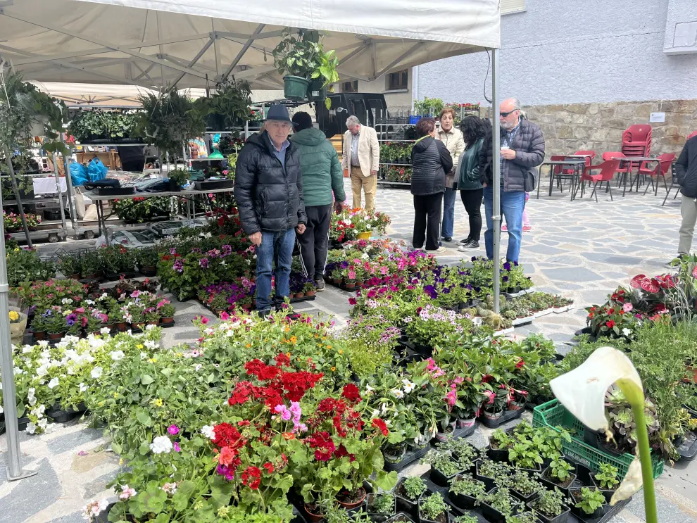 La Feria de la Primavera de Biescas cuenta este año con 40 expositores de horticultura y artesanía y siete productores de miel.
