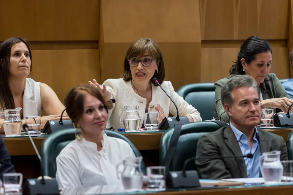 Último pleno de la actual legislatura en el Ayuntamiento de Zaragoza