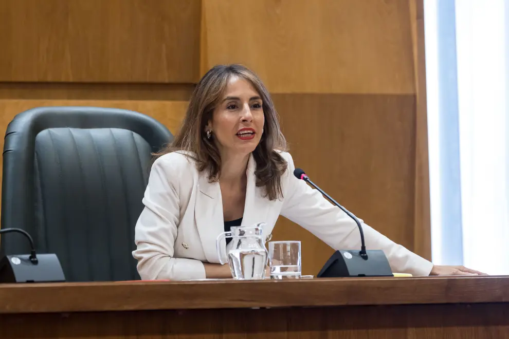 Último pleno de la actual legislatura en el Ayuntamiento de Zaragoza