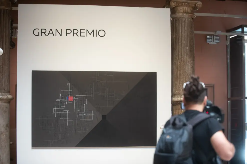La DPZ ha concedido el premio de arte Santa Isabel a Pablo Pérez por su obra 'Paisaje Vertical' y el áccesit a Sergio Aragón por su instalación 'Caza humana'.