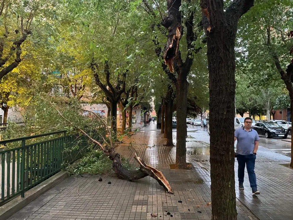 Los efectos de la tormenta en Huesca.