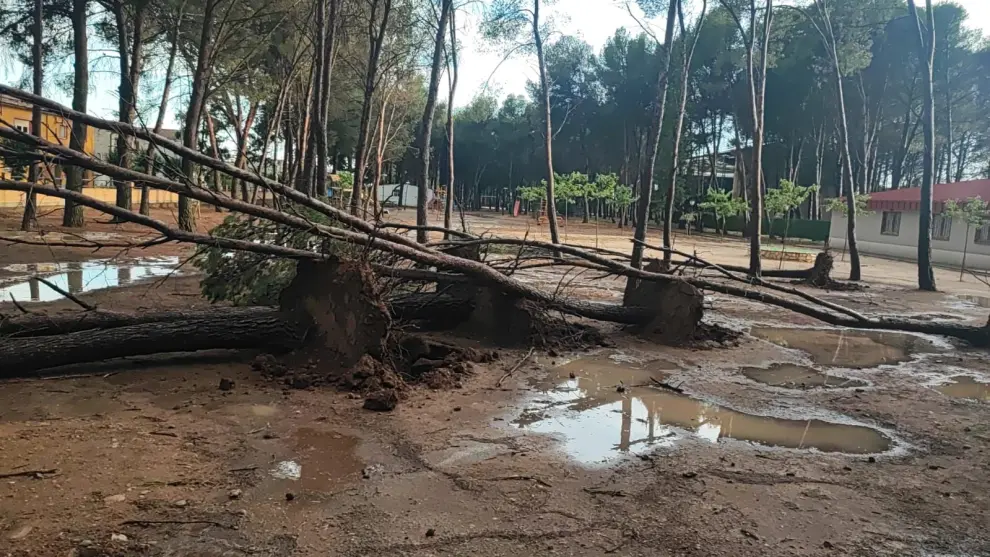 Las fuertes rachas de viento derribaron 300 árboles, que en su caída causaron numerosos desperfectos.