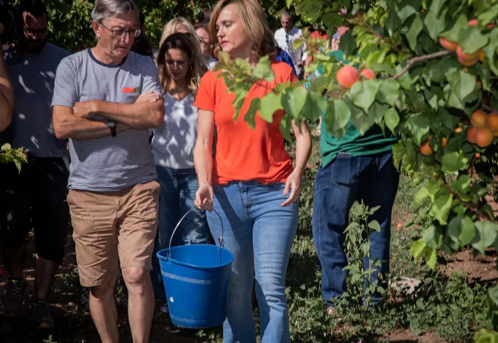 Pilar Alegría visita una finca de frutales en el término de La Almunia
