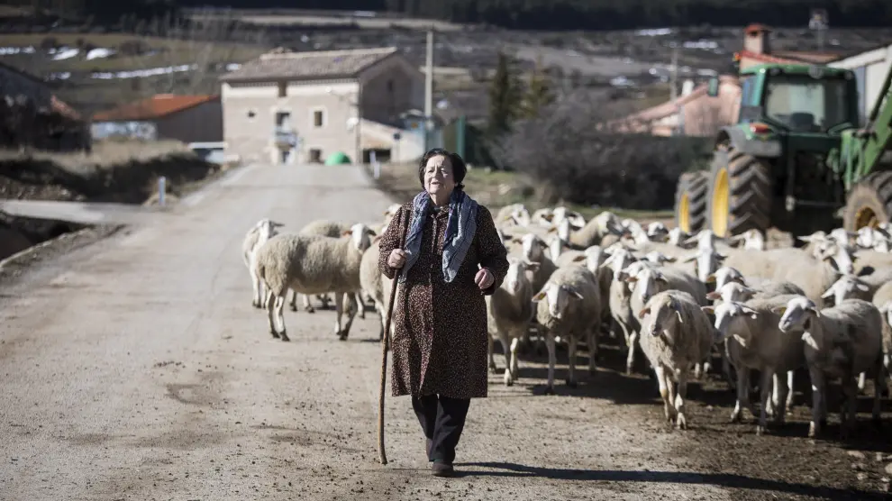 Rufina echa circunstancialmente una mano en el pastoreo a su hijo en Fonfría