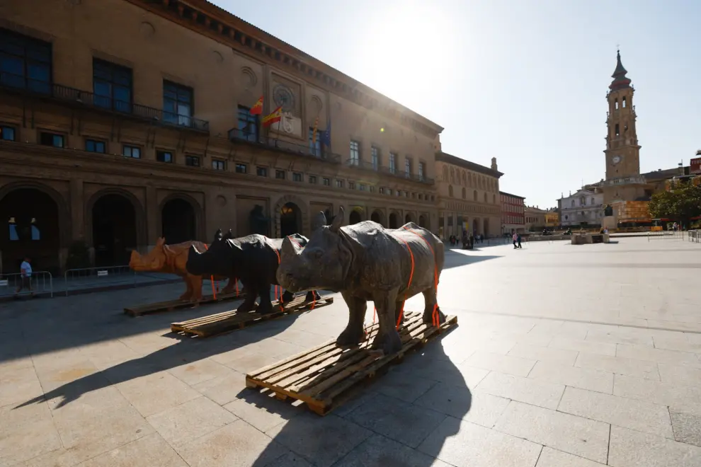 Fotos de los rinocerontes de Roberto Fabelo, que toman la plaza del Pilar